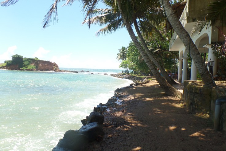 SAMSUNG CAMERA PICTURES