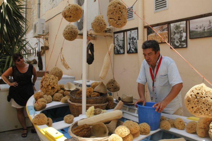 398899_408789512474615_821017763_n