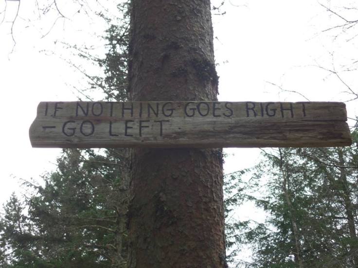 13062346_1107554439264782_2803783397430340688_n1