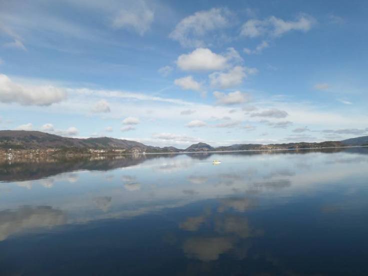 13015241_1107556195931273_5773834131844703032_n