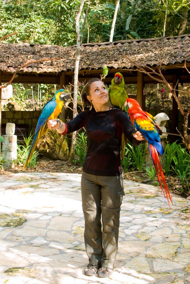 65586_271377966327602_1227448992_n