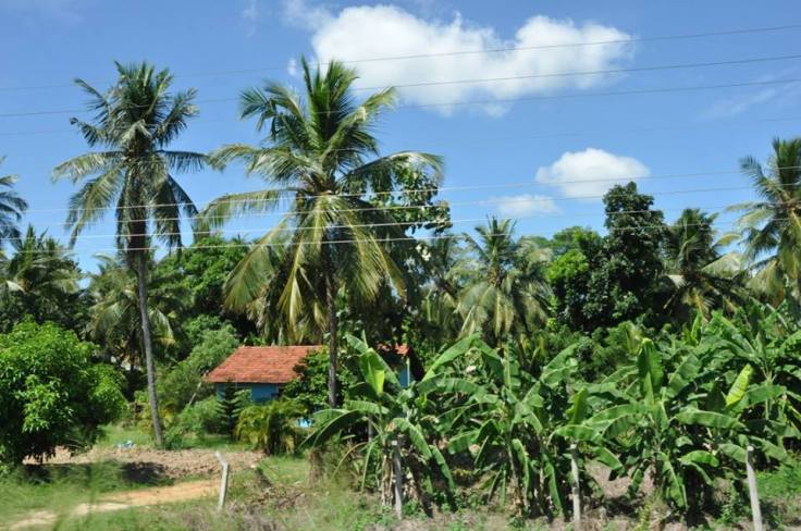 12065773_1006150586071835_9109838906038723054_n