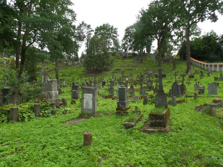 14063974_1195334163820142_3785253055653112334_n