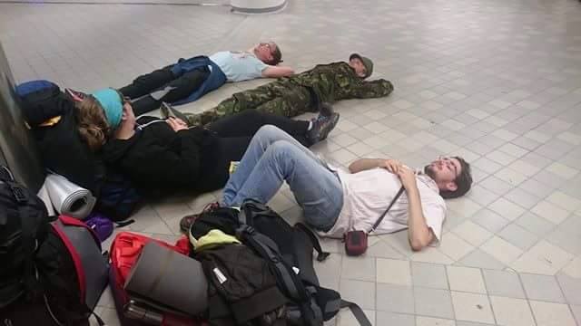 14183765_1195337720486453_6044780062933823516_n