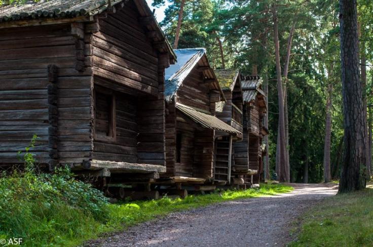 14225338_10209256777163814_9030789260513648599_n