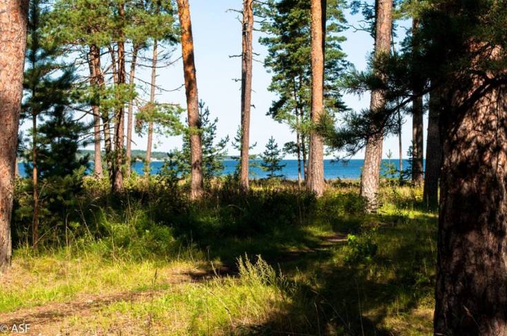 14203155_10209256381233916_8137505854253594650_n