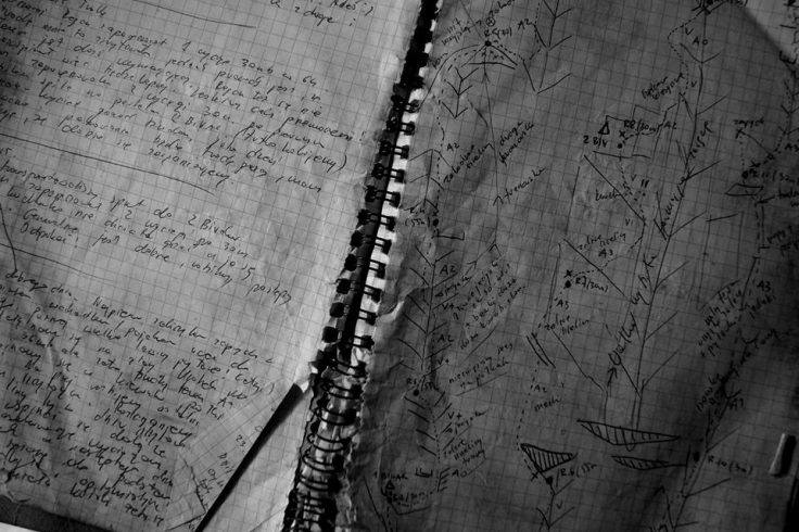 12805691_1523679857934398_3535077700778515621_n